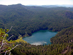Rogue-Umpqua Divide Wilderness