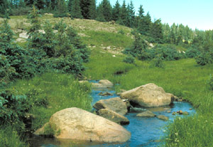 San Pedro Parks Wilderness
