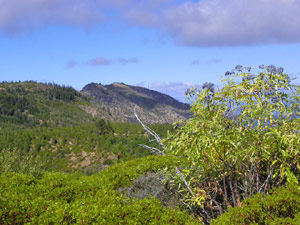 Sanhedrin Wilderness