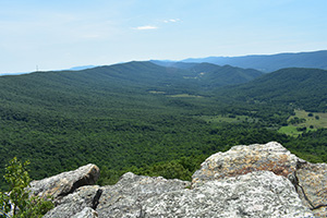Shawvers Run Wilderness