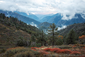 Sheep Mountain Wilderness