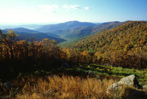 Shenandoah Wilderness