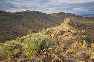 Sierra de las Uvas Wilderness
