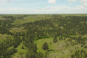 Soldier Creek Wilderness