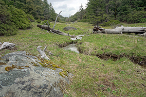 South Fork Eel River Wilderness