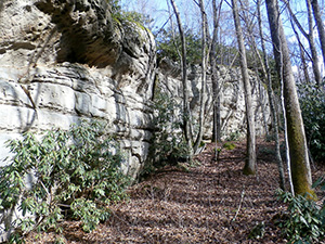 Stone Mountain Wilderness