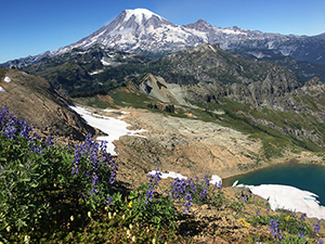 Tatoosh Wilderness