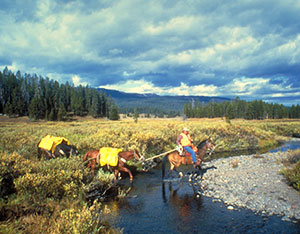 Teton Wilderness