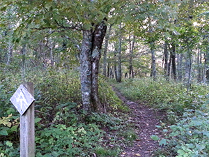 Thunder Ridge Wilderness