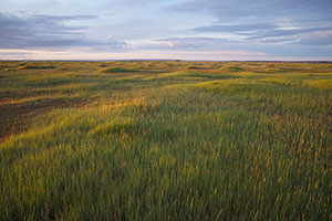 UL Bend Wilderness