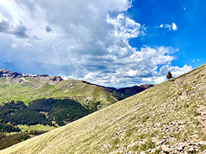 Uncompahgre Wilderness