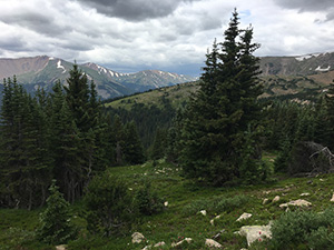 Vasquez Peak Wilderness