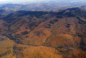Wild River Wilderness