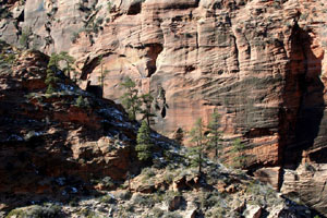 Zion Wilderness