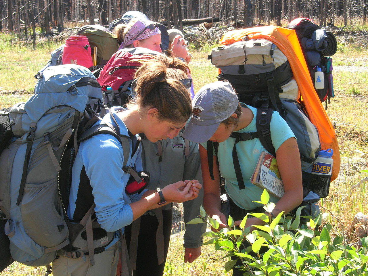 Students looking at plant samples