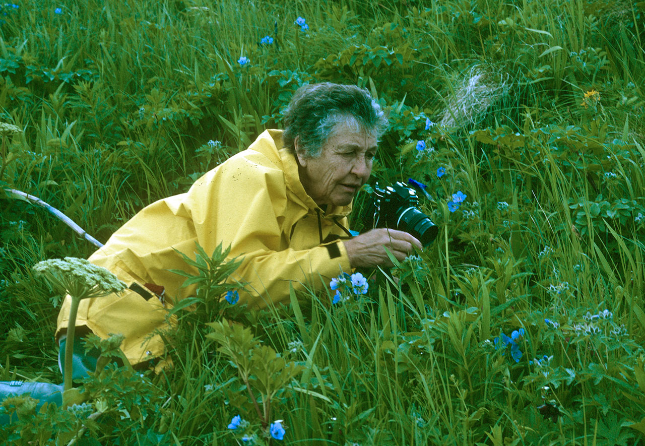 Older woman photographing plants