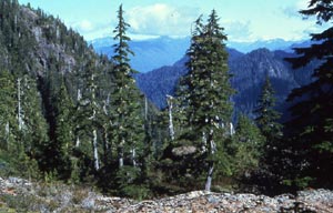 Colonel Bob Wilderness