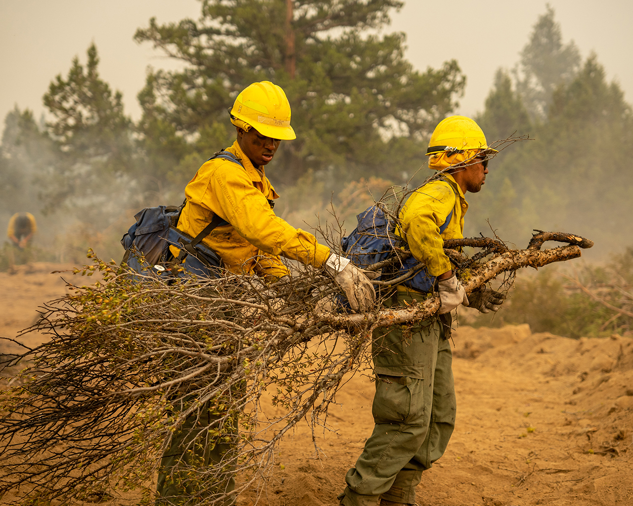 Fire crew clears brush