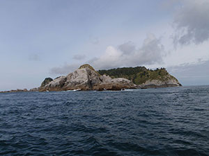 Forrester Island Wilderness