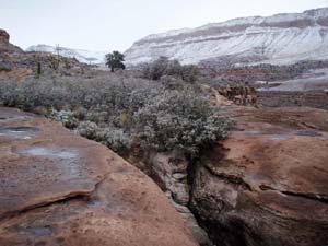 Grand Wash Cliffs Wilderness