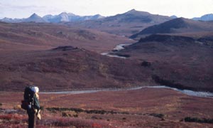 Noatak Wilderness
