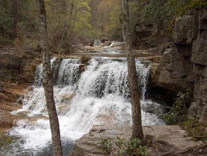 Saint Mary's Wilderness