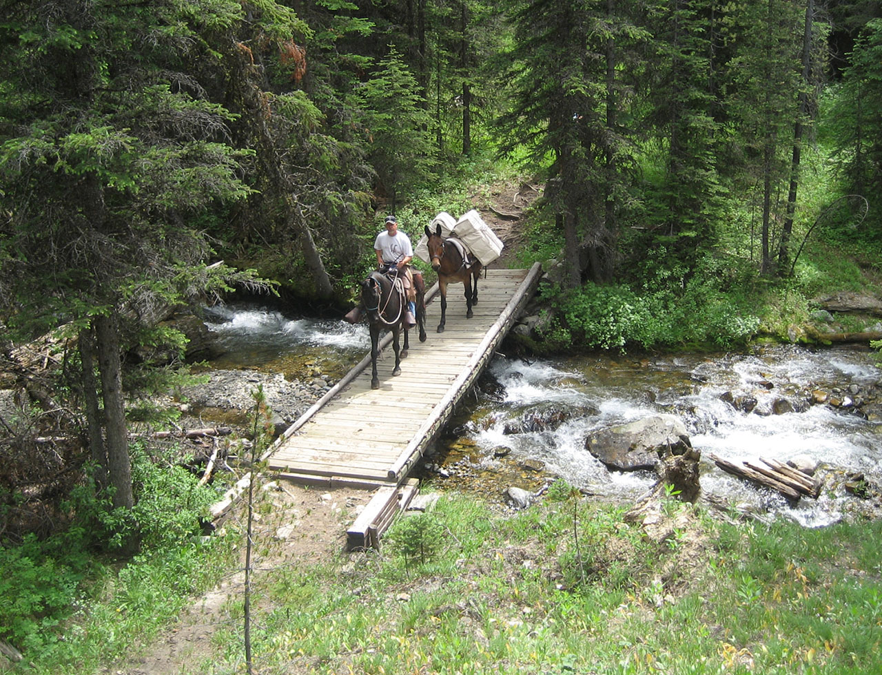 Horse packer crossing a bridge