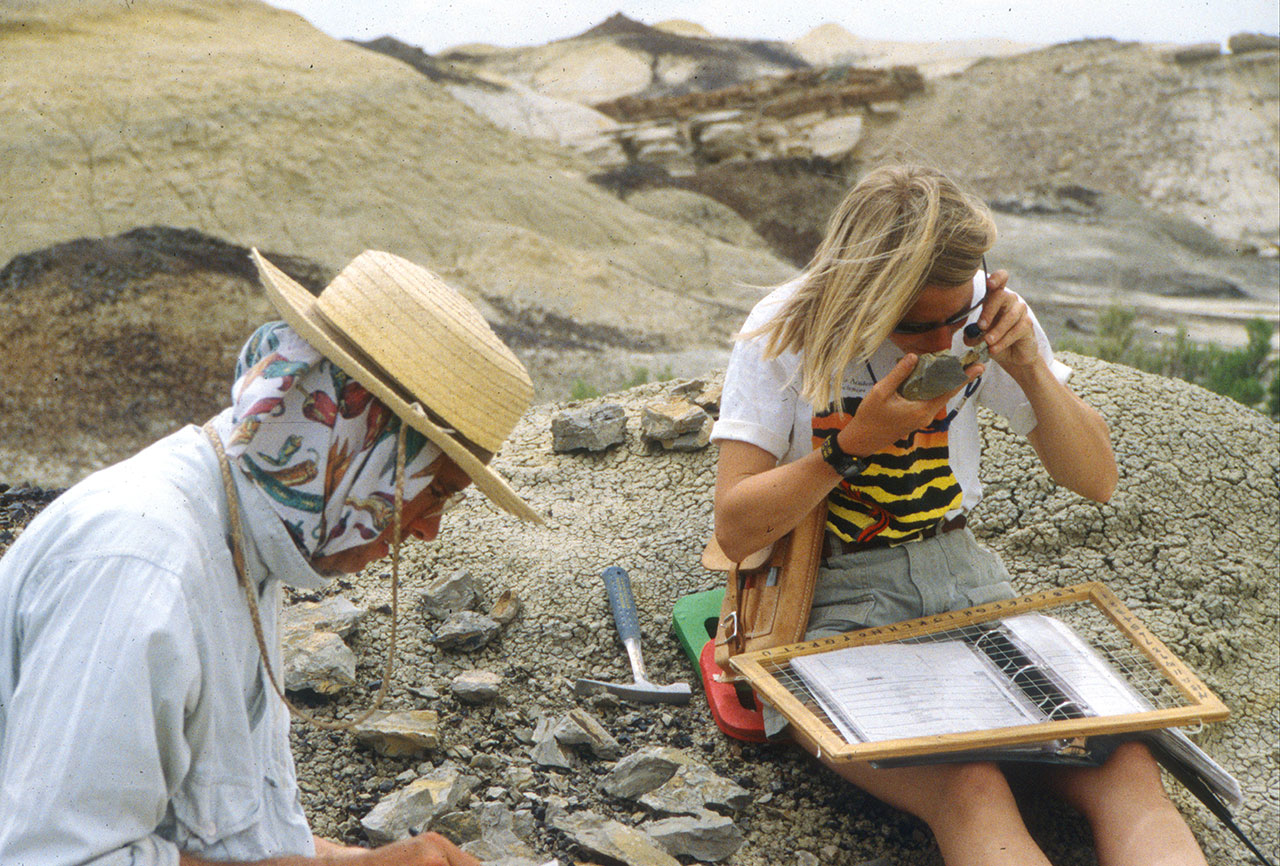 Archaeologists working in the field