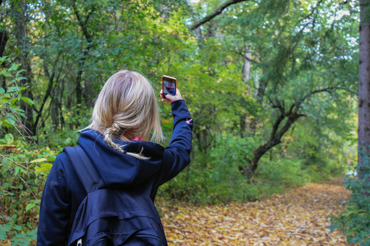 Girl with a cell phone in the forest