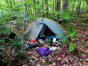Tent pristing camping
