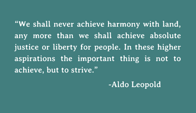 "We shall never achieve harmony with land, any more than we shall achieve absolute justice or liberty for people. In these higher aspirations the important thing is not to achieve, but to strive."  Quote by Aldo Leopold.