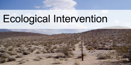  Ecological Intervention and Site Restoration