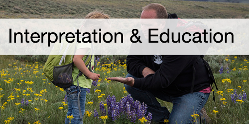 Interpretation And Education