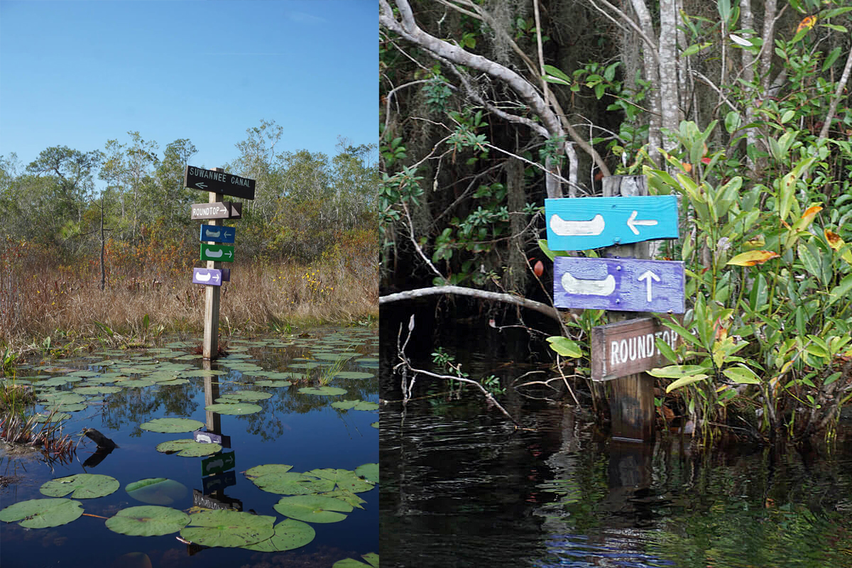 Two colorful wooden signs in water, with icons of canoes; the left sign is surrounded by lily pads.