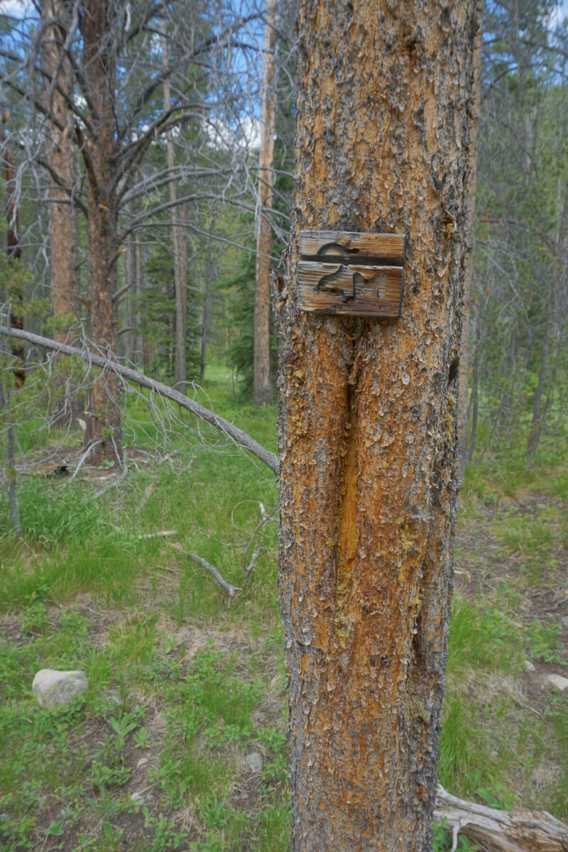 sign on a tree that shows the mile marker for the trail