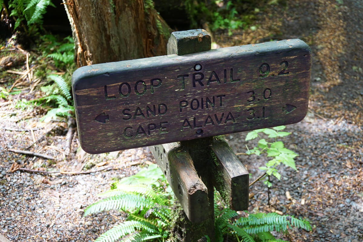 Small wood sign that is low to the ground with multiple directons