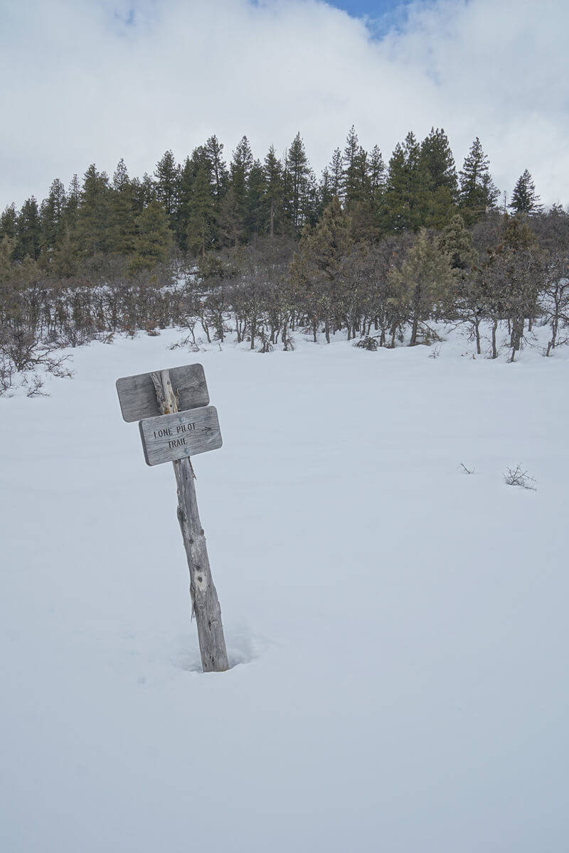 wooden sign sticking out of the snow