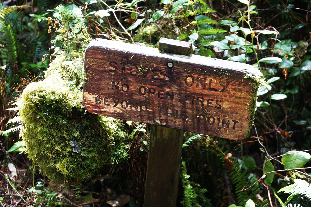 Small sign in the woods letting people know no open fires allowed