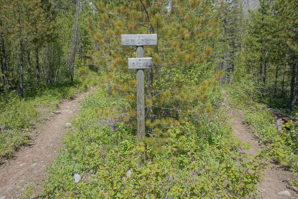 An old sign post in the woods between two paths