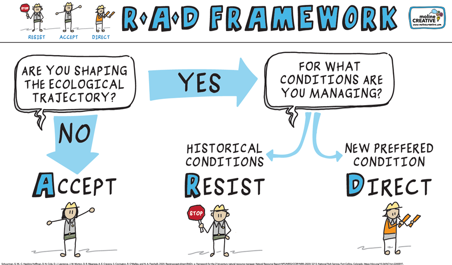 Figure 1: Decision points to guide the use and implementation of the resist-accept-direct (RAD) framework for responding to ecological transformation under climate change.