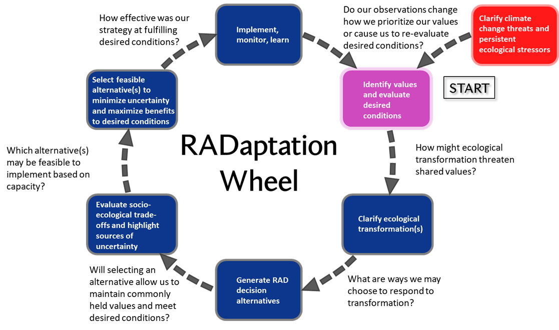 Figure 3: Iterative planning process integrating the resist-accept-direct (RAD) framework as a tool to address climate change-driven ecological transformation in federally designated wilderness.