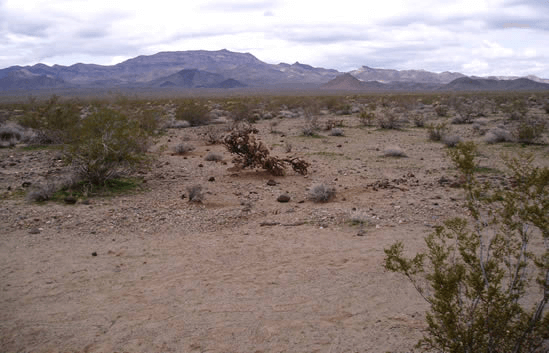 site of where a road once was with the road closed sign removed in a desert