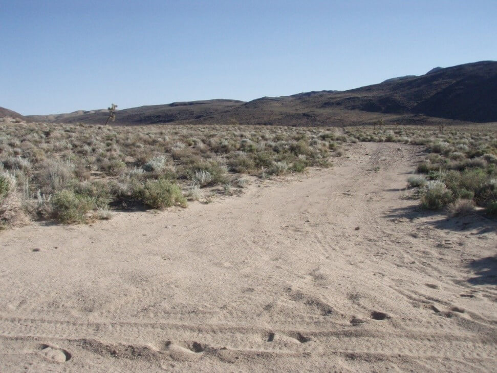 road in a desert environment